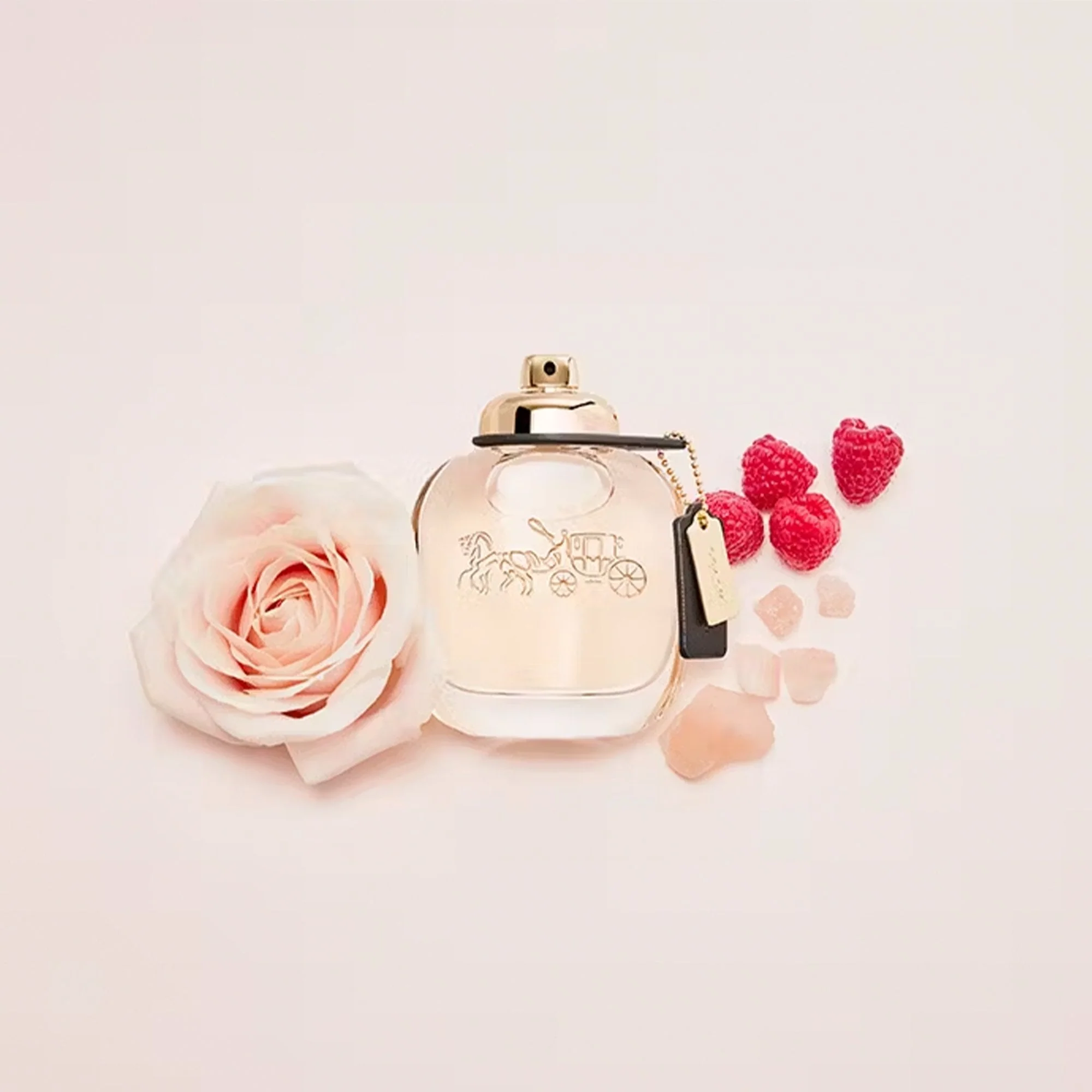Coach Eau De Parfum 90ml Spr - Image 3