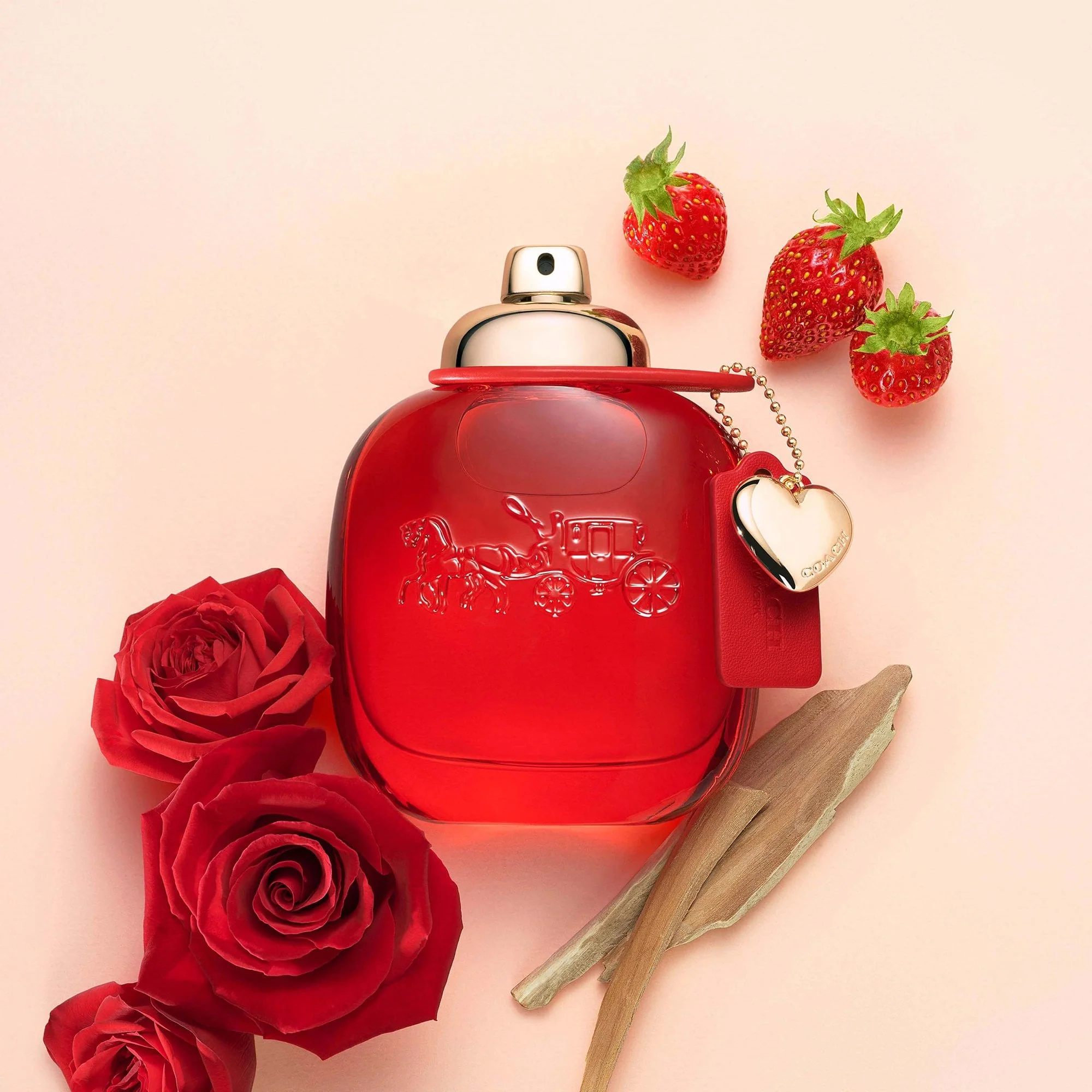 Coach Love Eau De Parfum 30ml Spray - Image 3