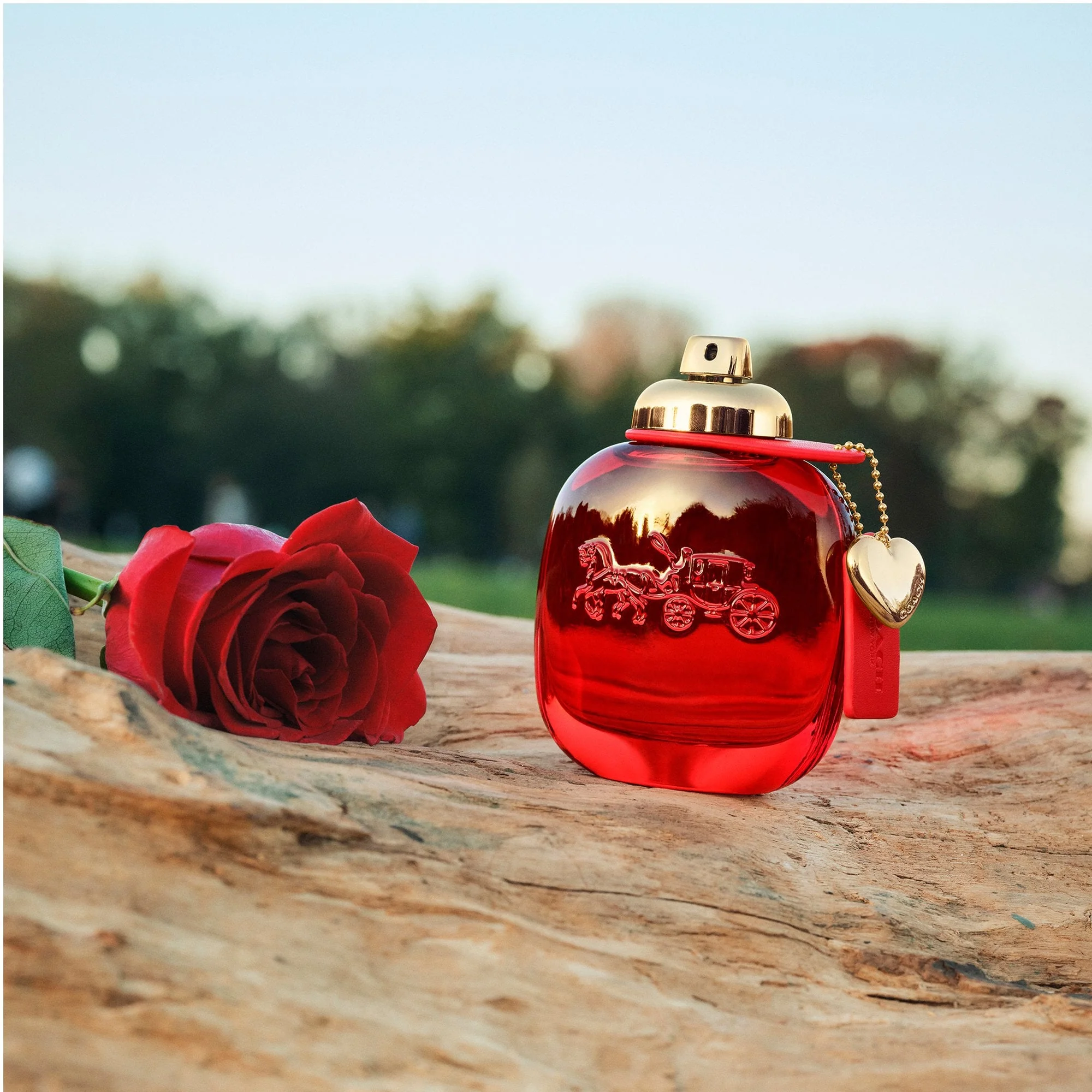 Coach Love Eau De Parfum 30ml Spray - Image 4
