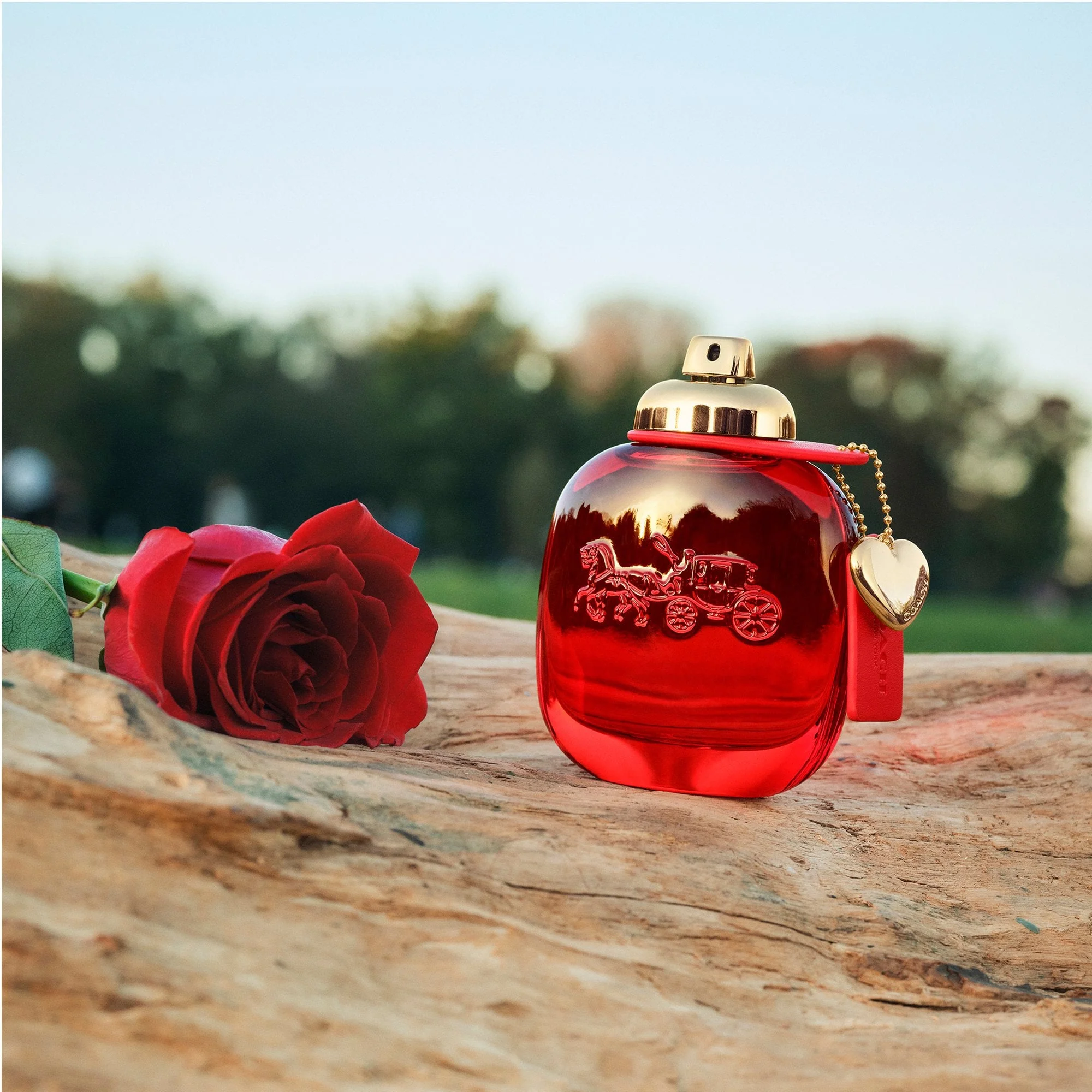 Coach Love Eau De Parfum 50ml Spray - Image 3