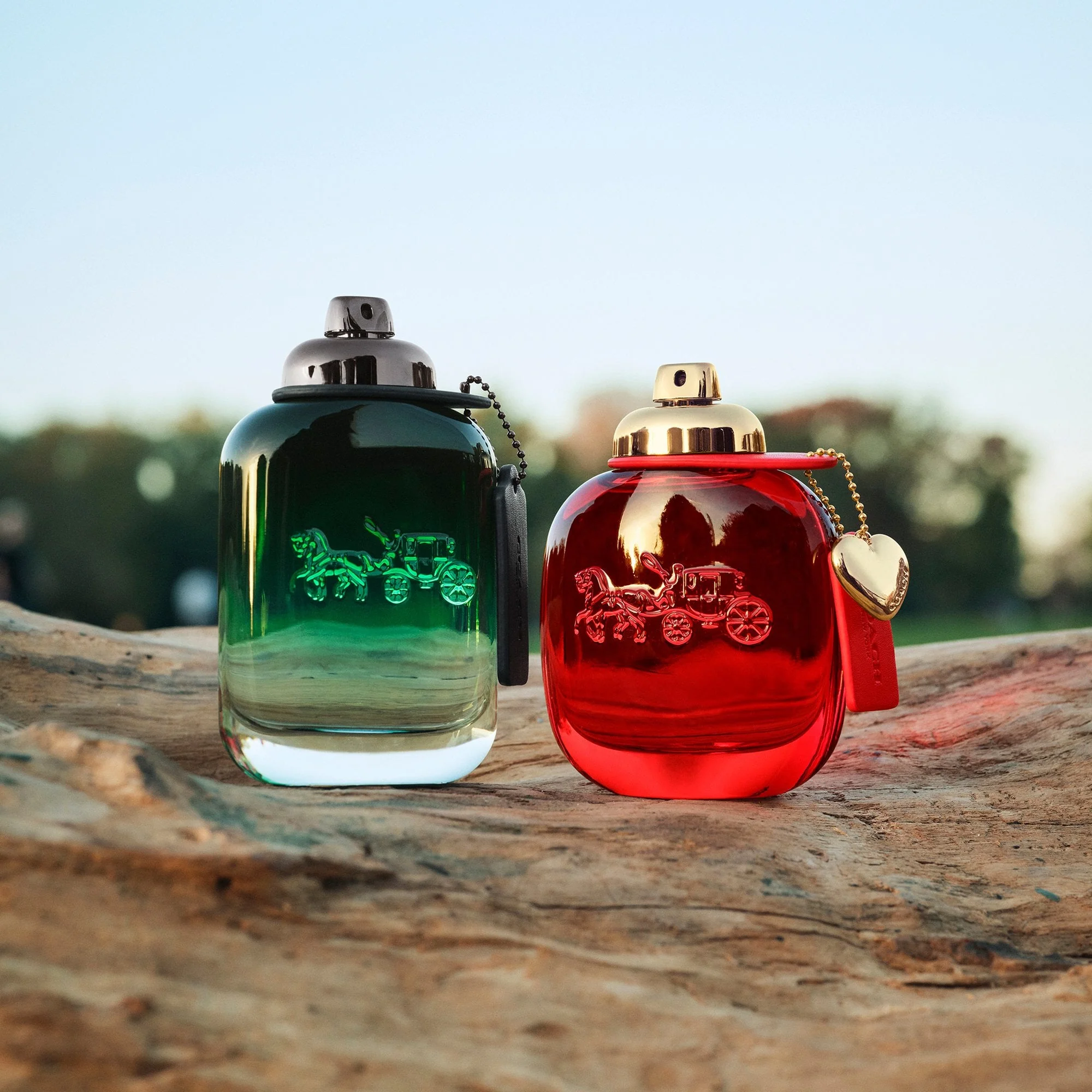 Coach Love Eau De Parfum 50ml Spray - Image 4