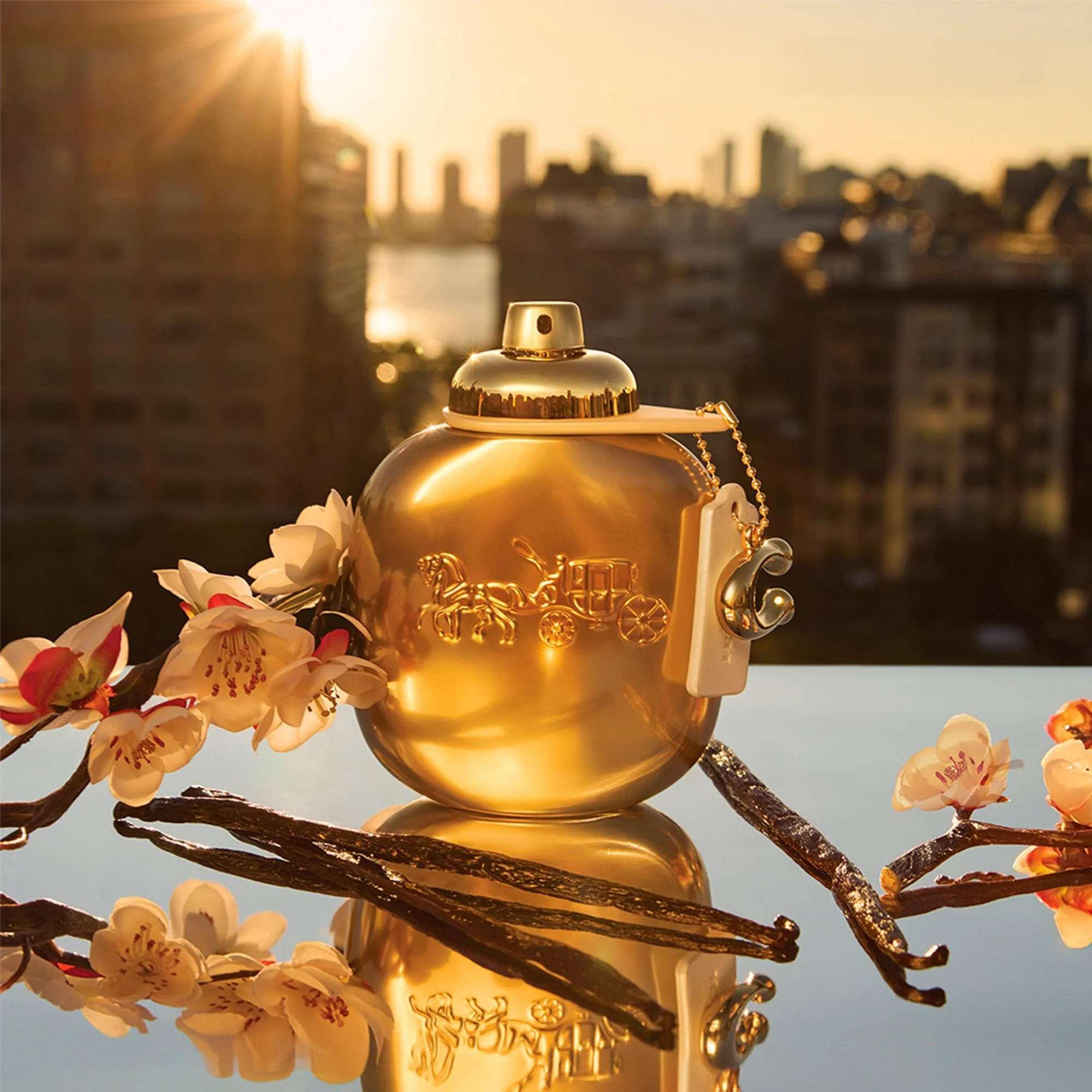 Coach Woman Gold Parfum 30ml Spray - Image 3