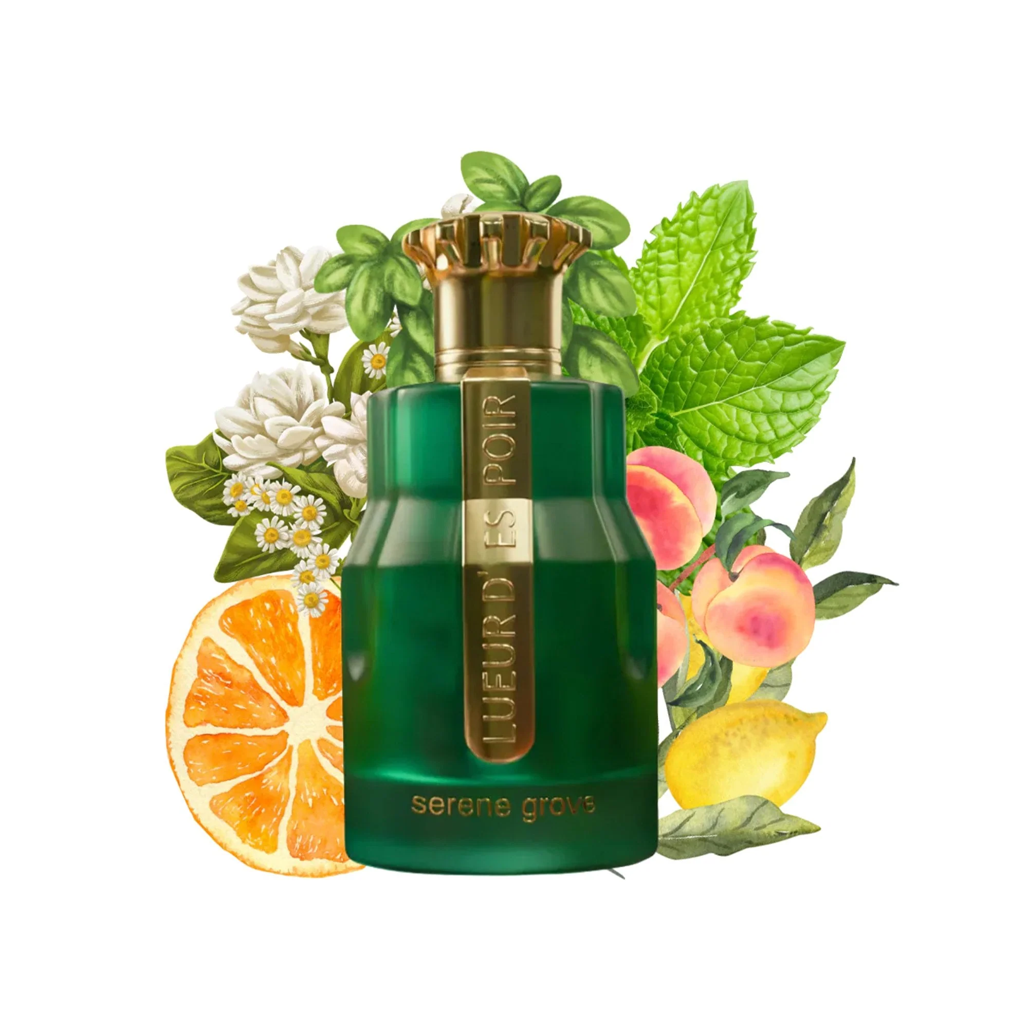 Emir Lueur D'Espoir Serene Grove Eau De Parfum 100ml Spray - Image 2