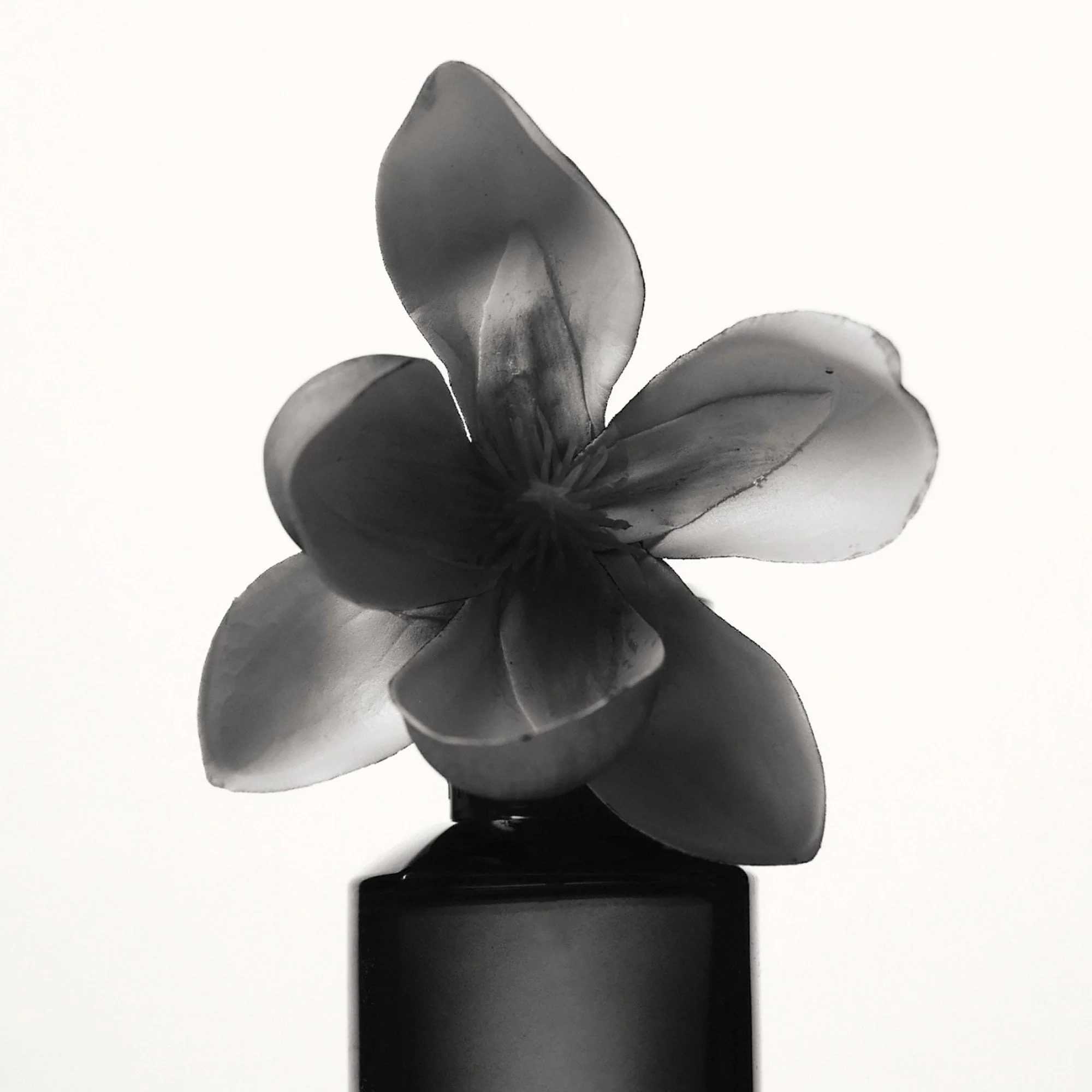 Fenty Eau De Parfum 75ml Spray - Image 3