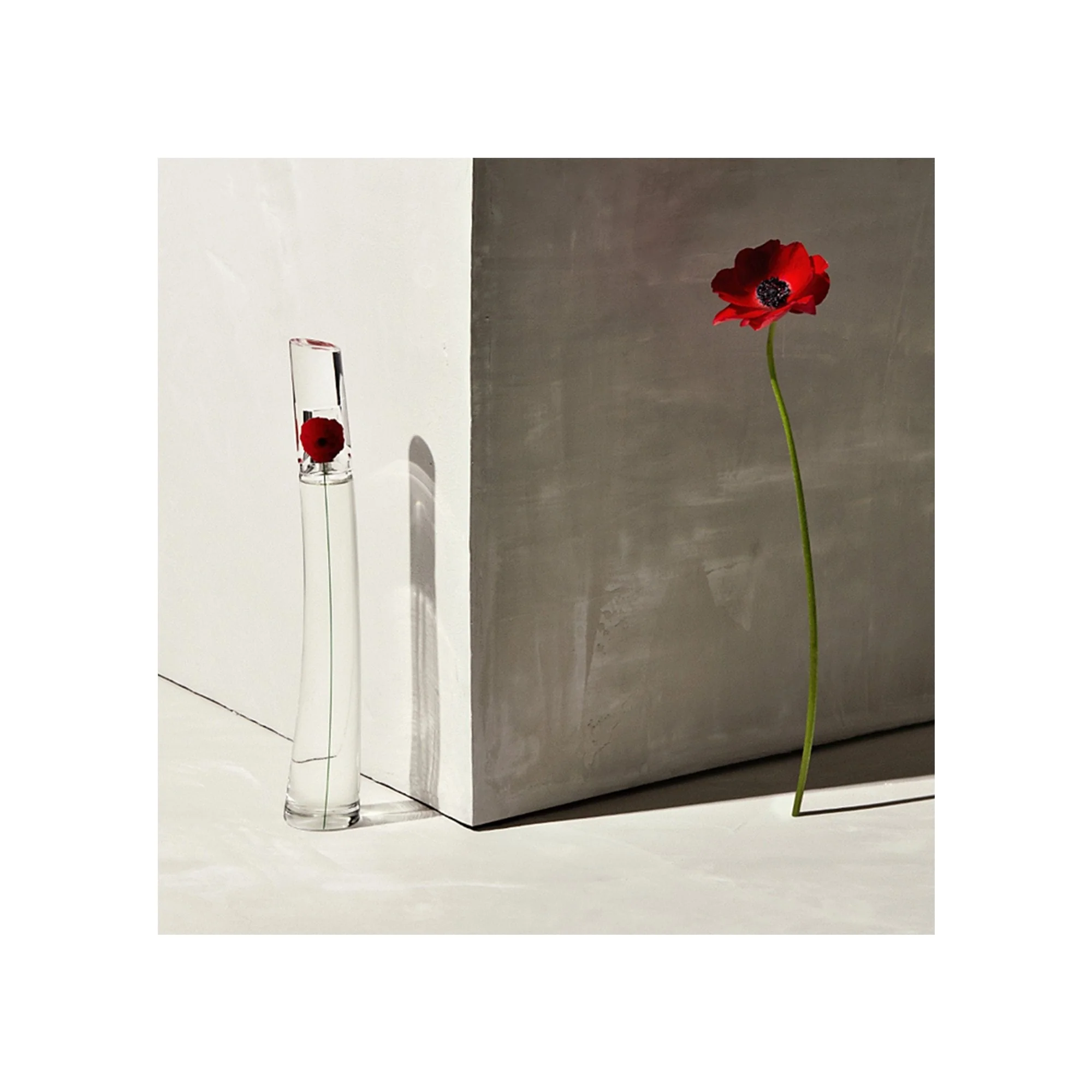 Kenzo Flower Eau De Parfum 30ml Spray x2020 - Image 2