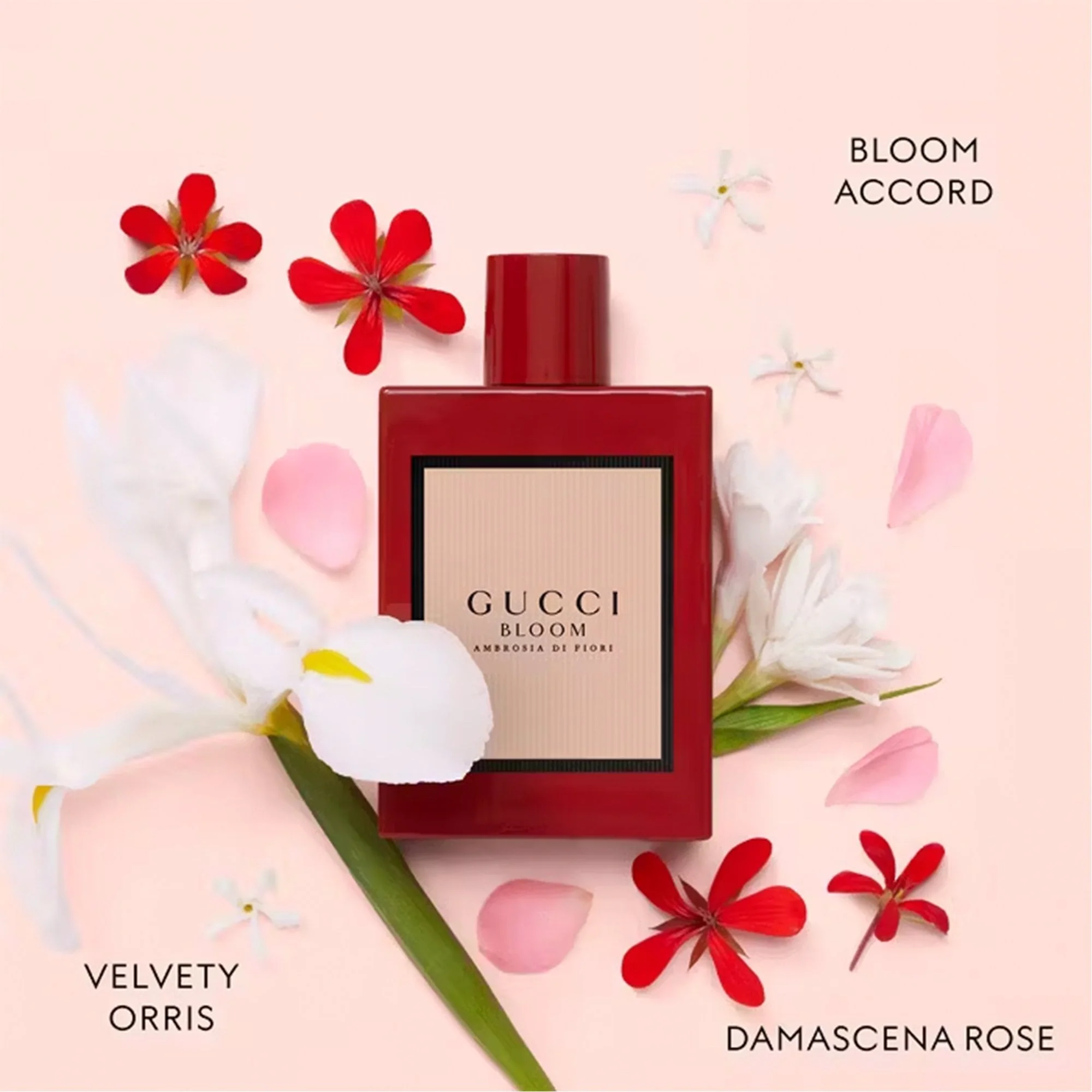 Gucci Bloom Ambrosia Di Fiori  Eau De Parfum 50ml Spray - Image 2