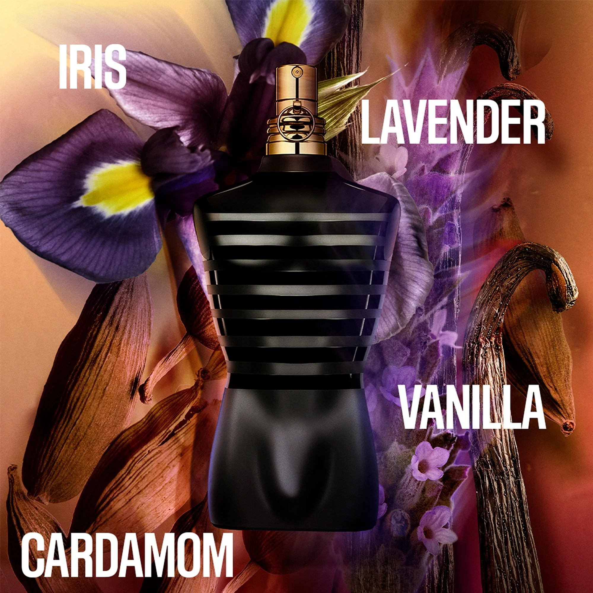 Jean Paul Gaultier ''Le Male'' Le Parfum 75ml Spray - Image 3