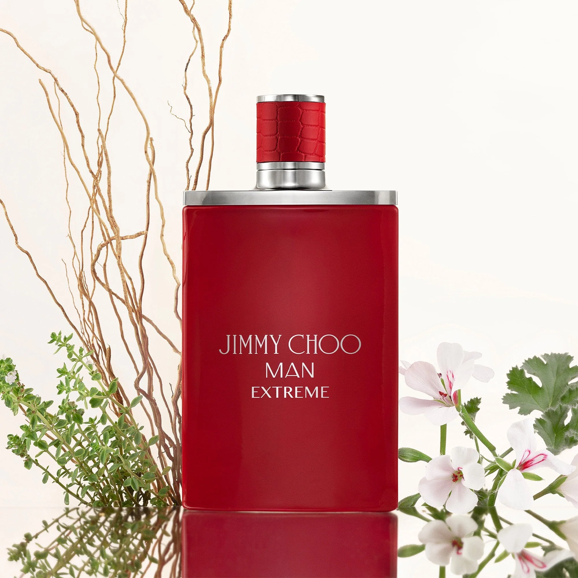 Jimmy Choo Man Extreme Eau De Parfum 30ml Spray - Image 3