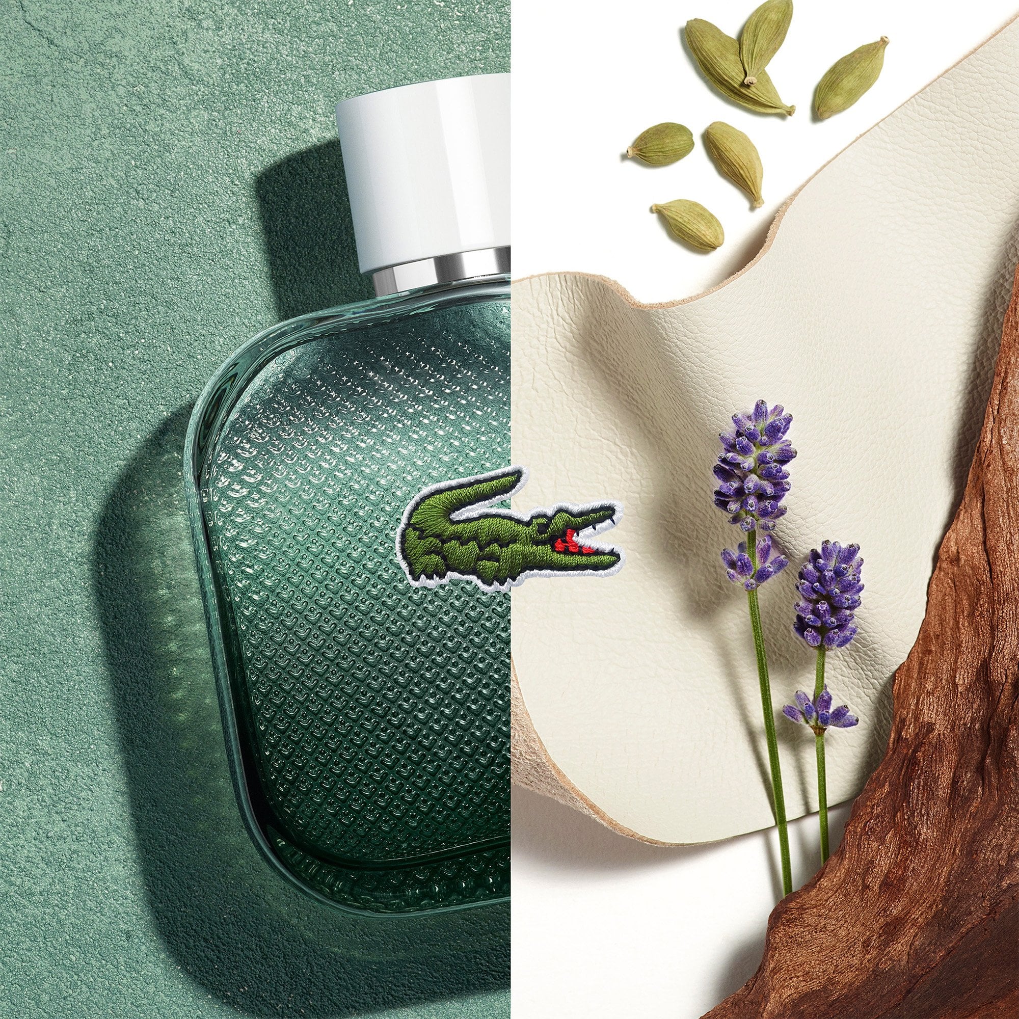 Lacoste L.12.12 Blanc Eau Intense Eau De Toilette 50ml Spray - Image 2
