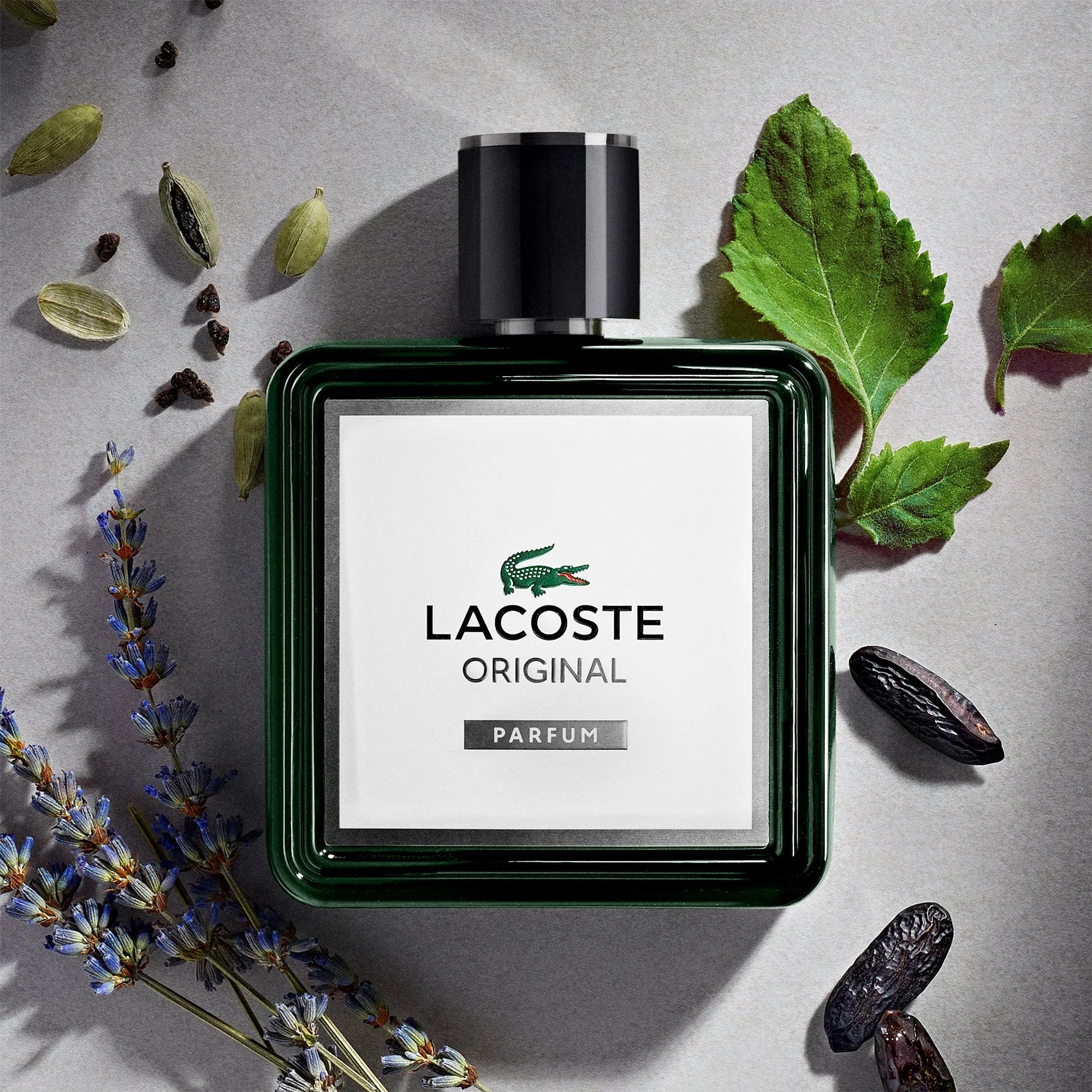 Lacoste Original Parfum 100ml Spray - Image 3