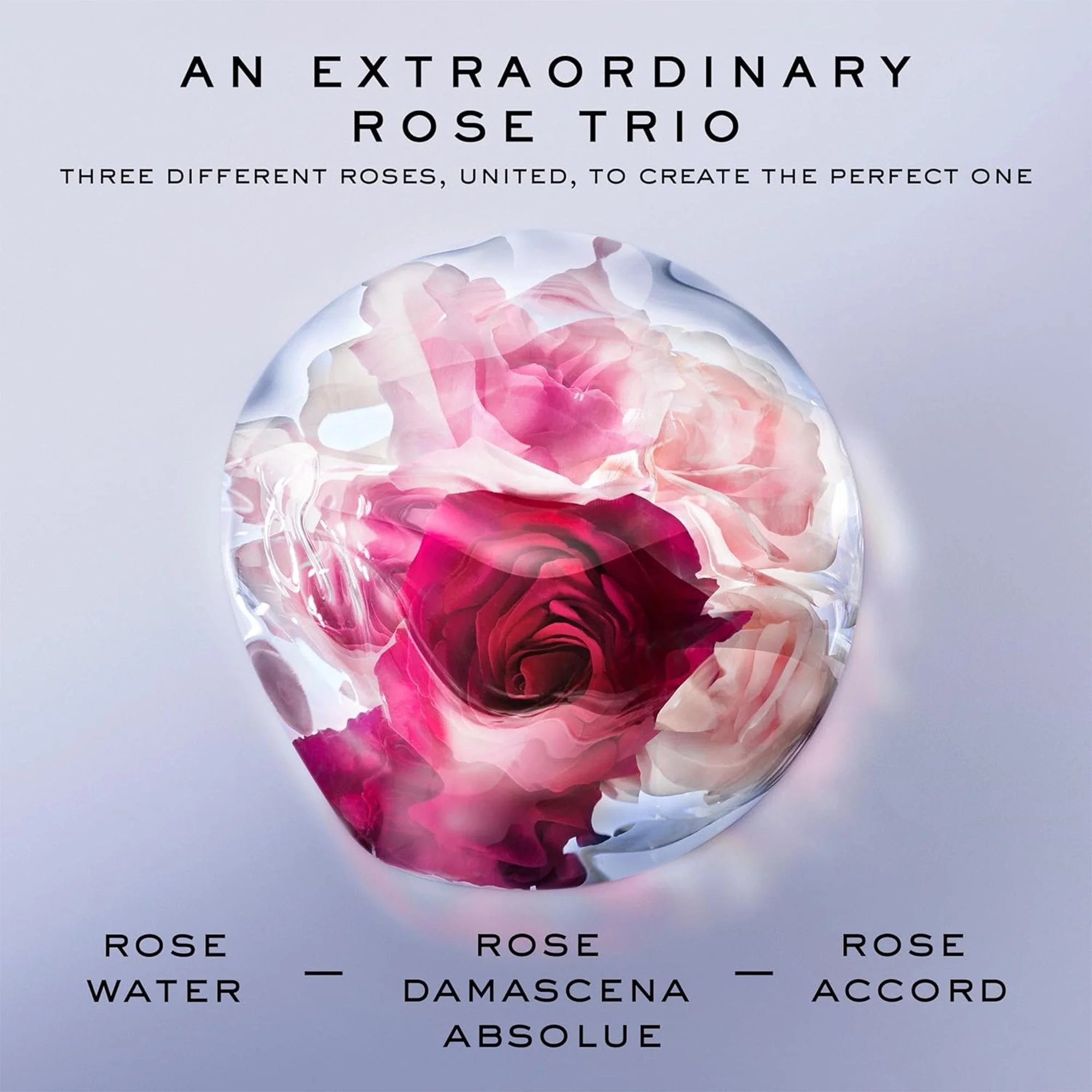 (Lancôme) La Vie Est Belle Rose Extraordinaire Eau De Parfum 50ml Spray - Image 3