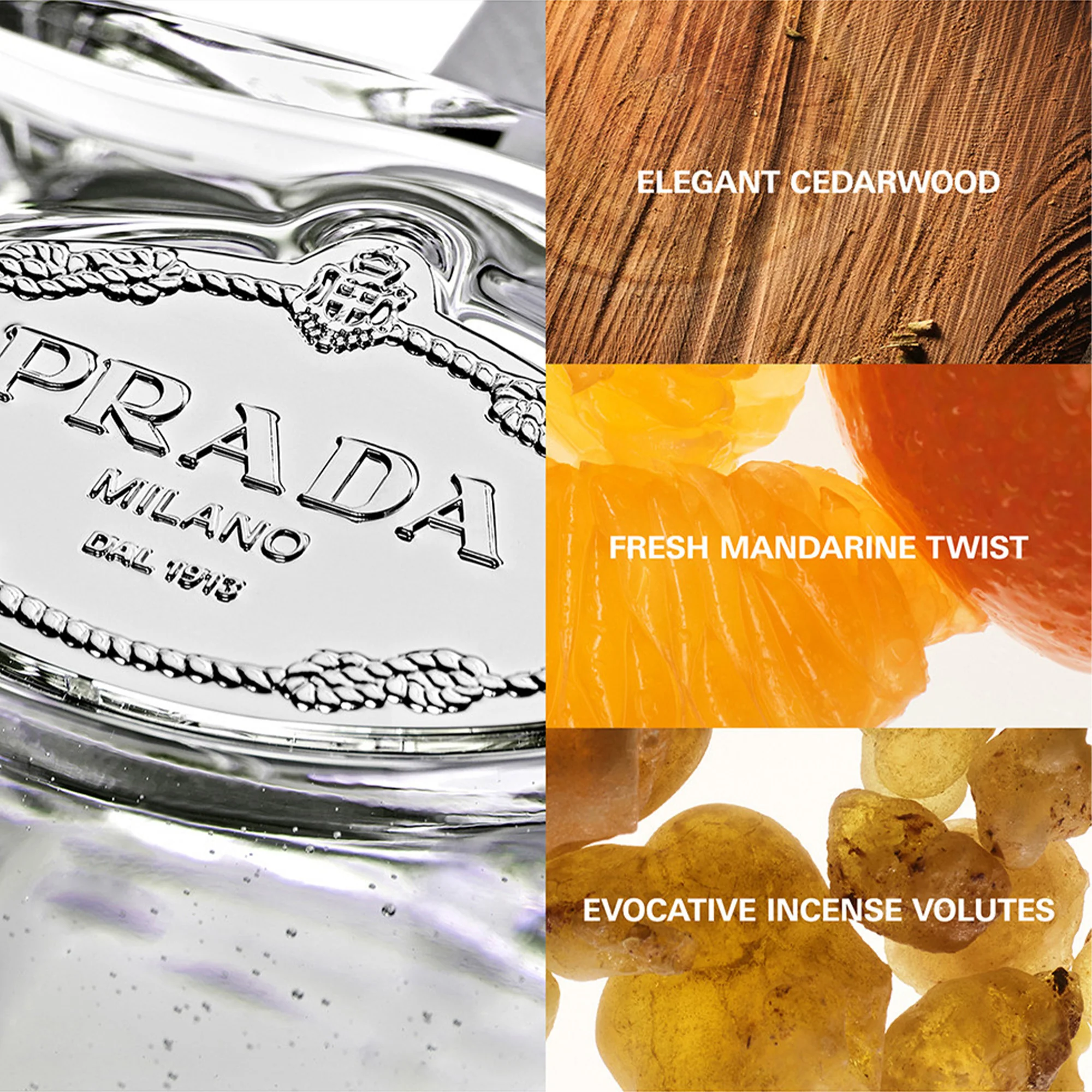 Prada Les Infusions de Cèdre Eau De Parfum 100ml Spray - Image 3
