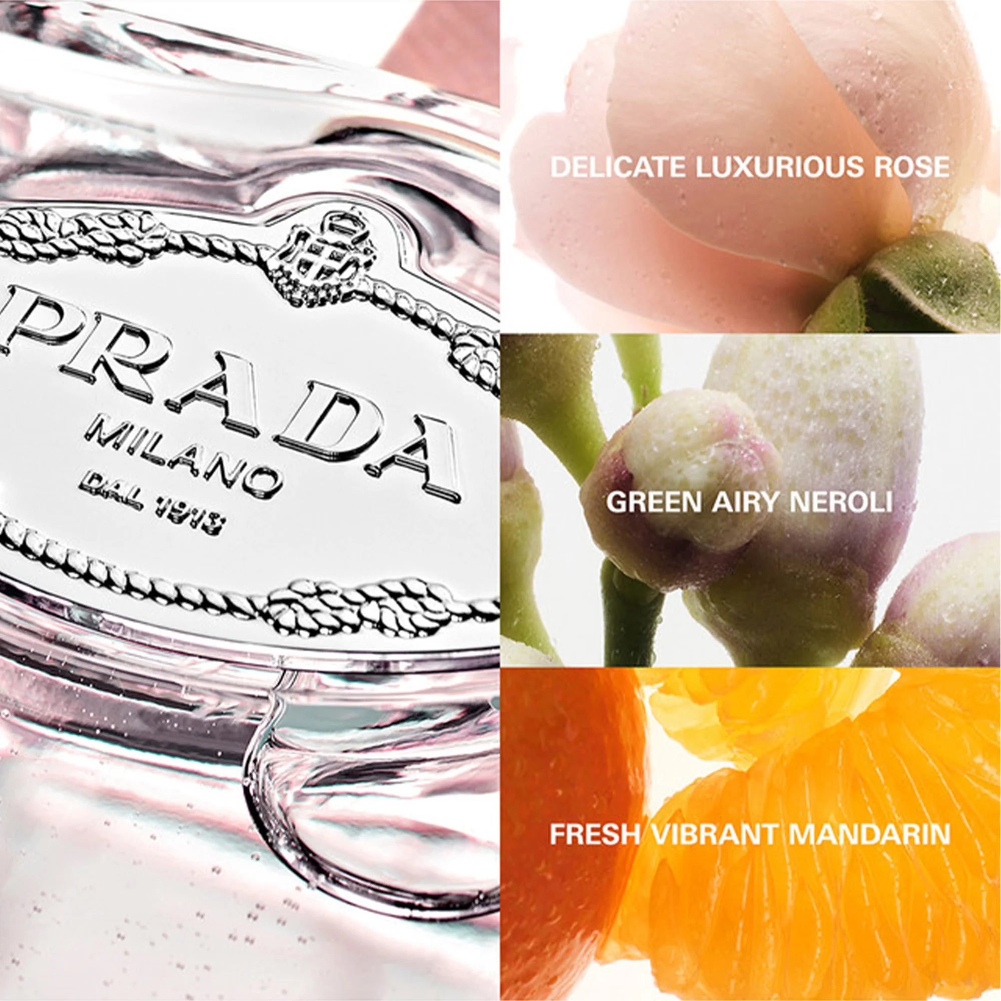 Prada Les Infusion de Rose Eau De Parfum 100ml Spray - Image 3