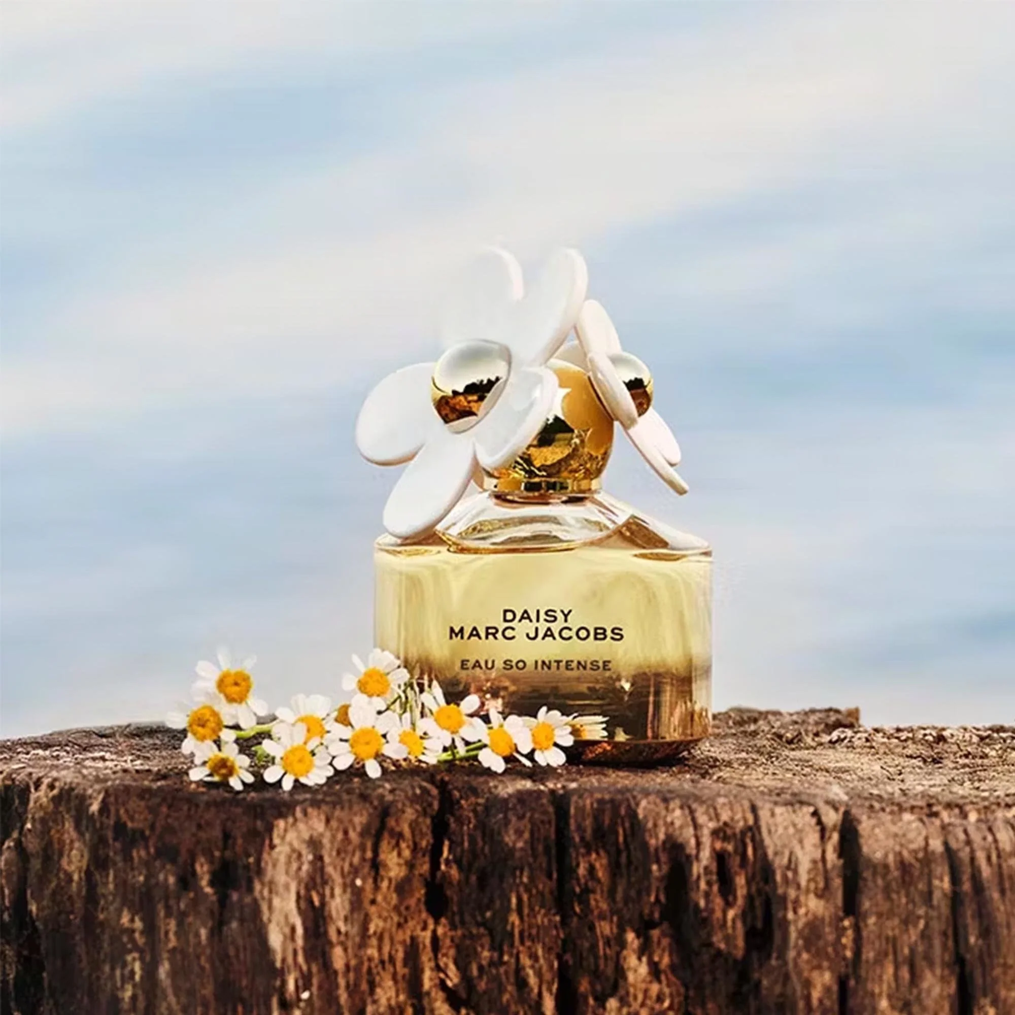 Marc Jacobs Daisy Eau So Intense Eau De Parfum 50ml Spray - Image 2