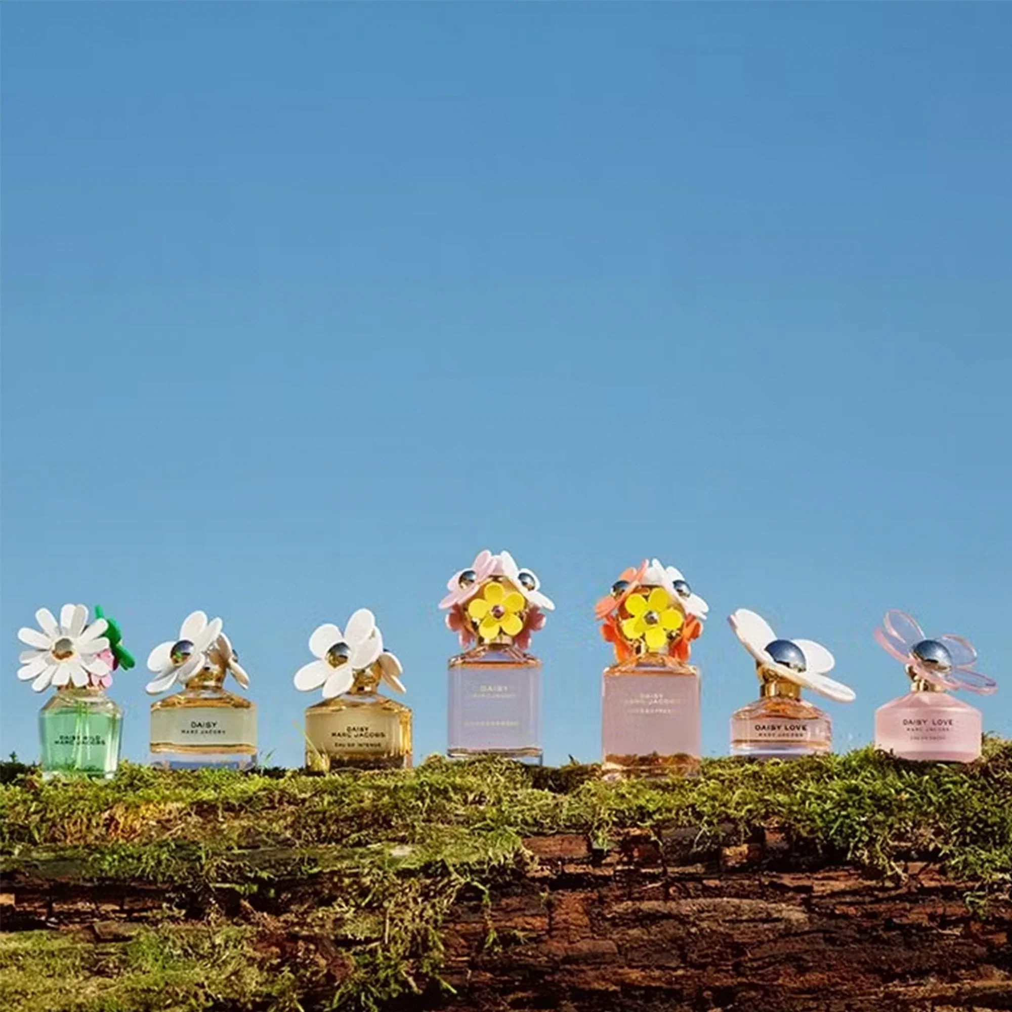 Marc Jacobs Daisy Wild Eau De Parfum 100ml Spray - Image 7