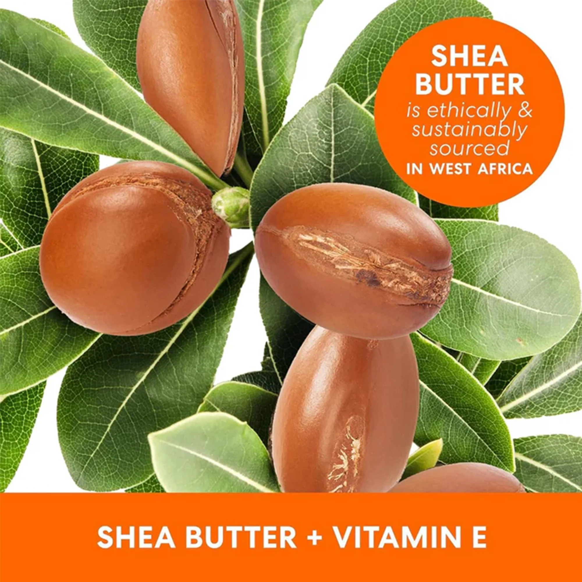 Palmer's Raw Shea Nourish Body Oil 250ml Bottle - Image 4