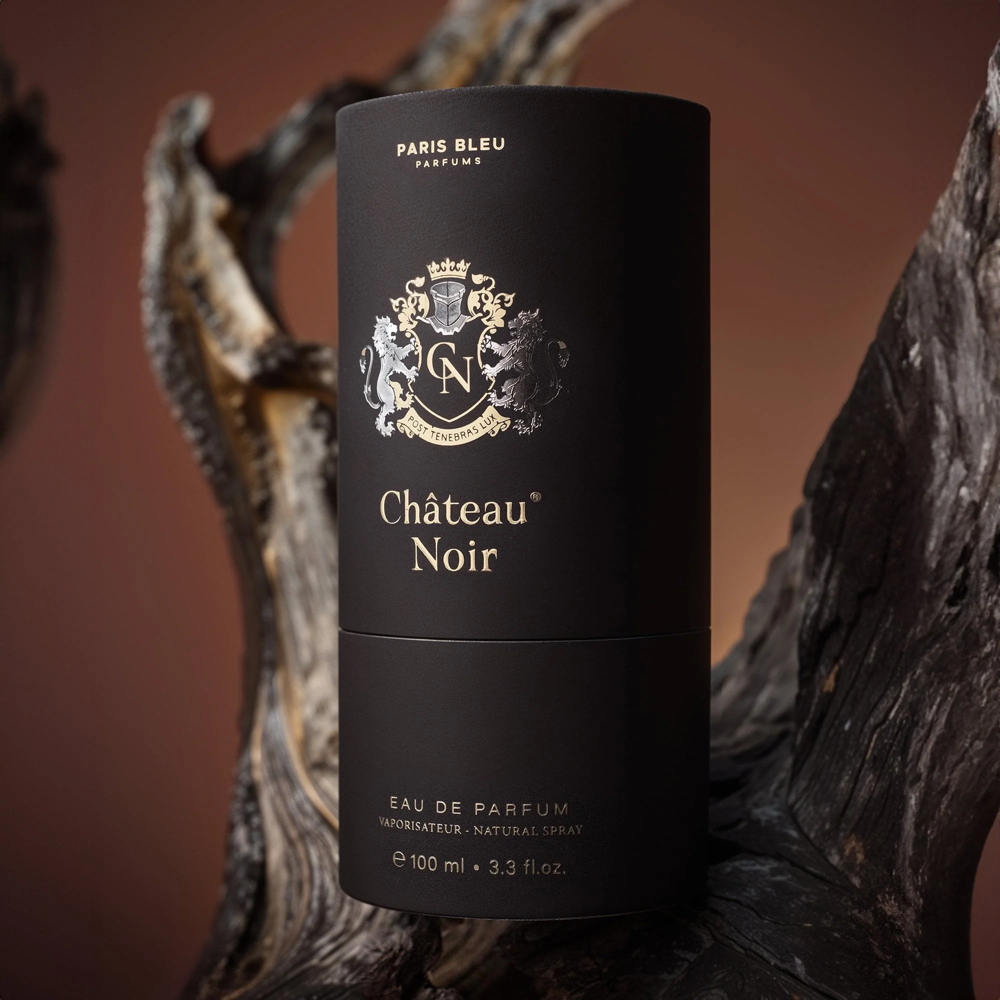 Paris Bleu Chateau Noir Eau De Parfum 100ml Spray - Image 5