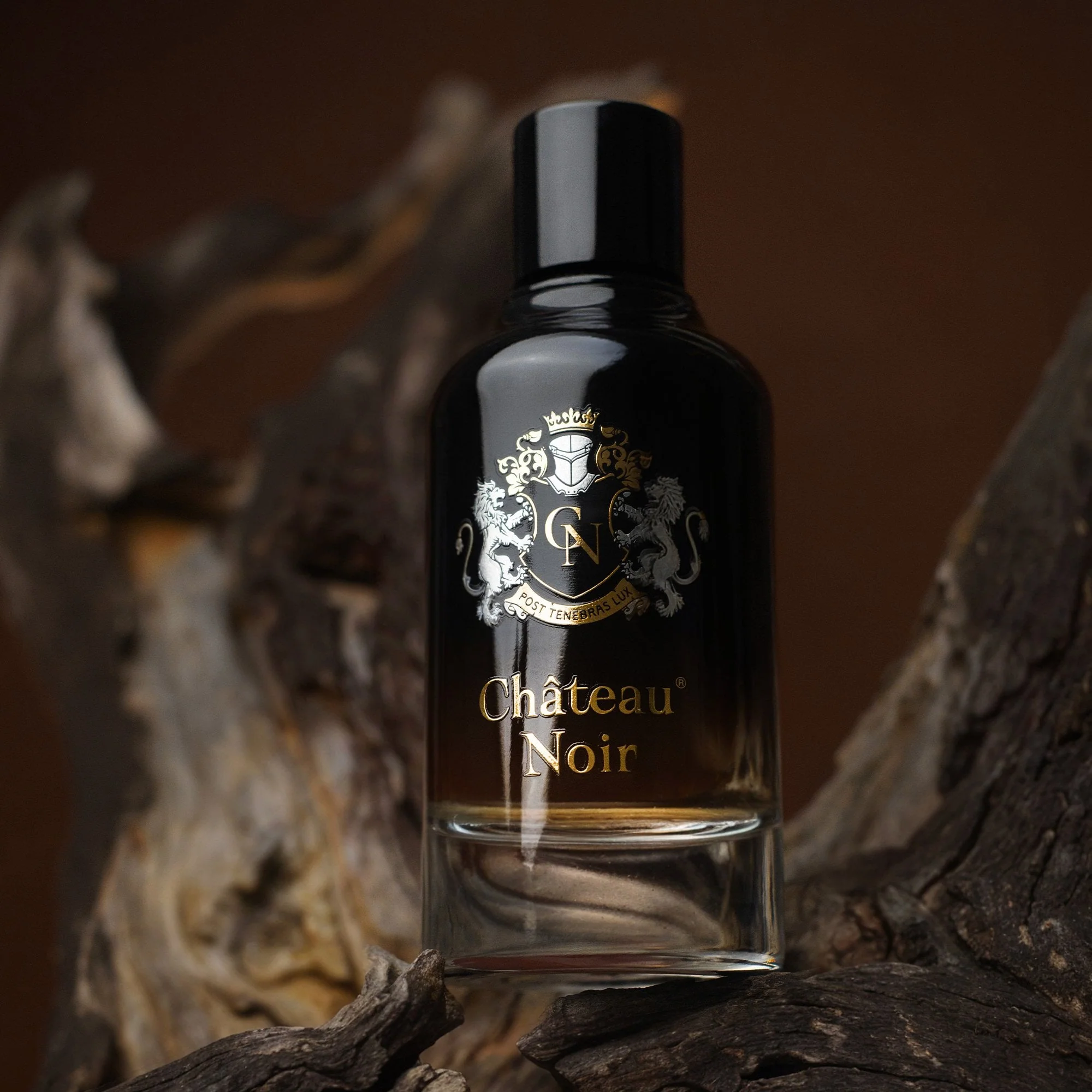 Paris Bleu Chateau Noir Eau De Parfum 100ml Spray - Image 6