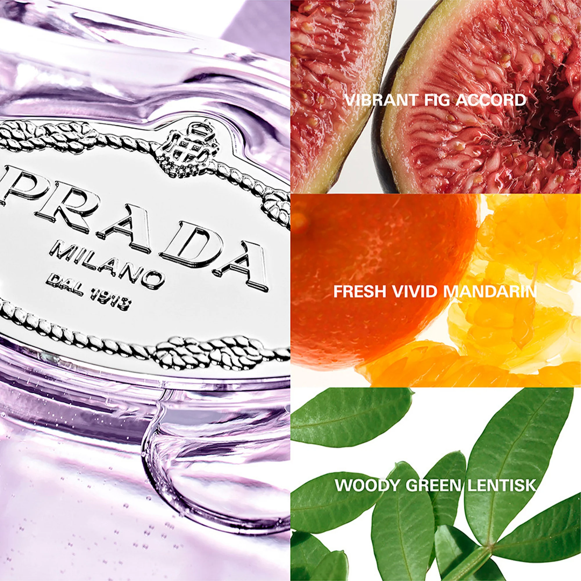 Prada Les Infusions de Figue Eau De Parfum 100ml Spray - Image 3