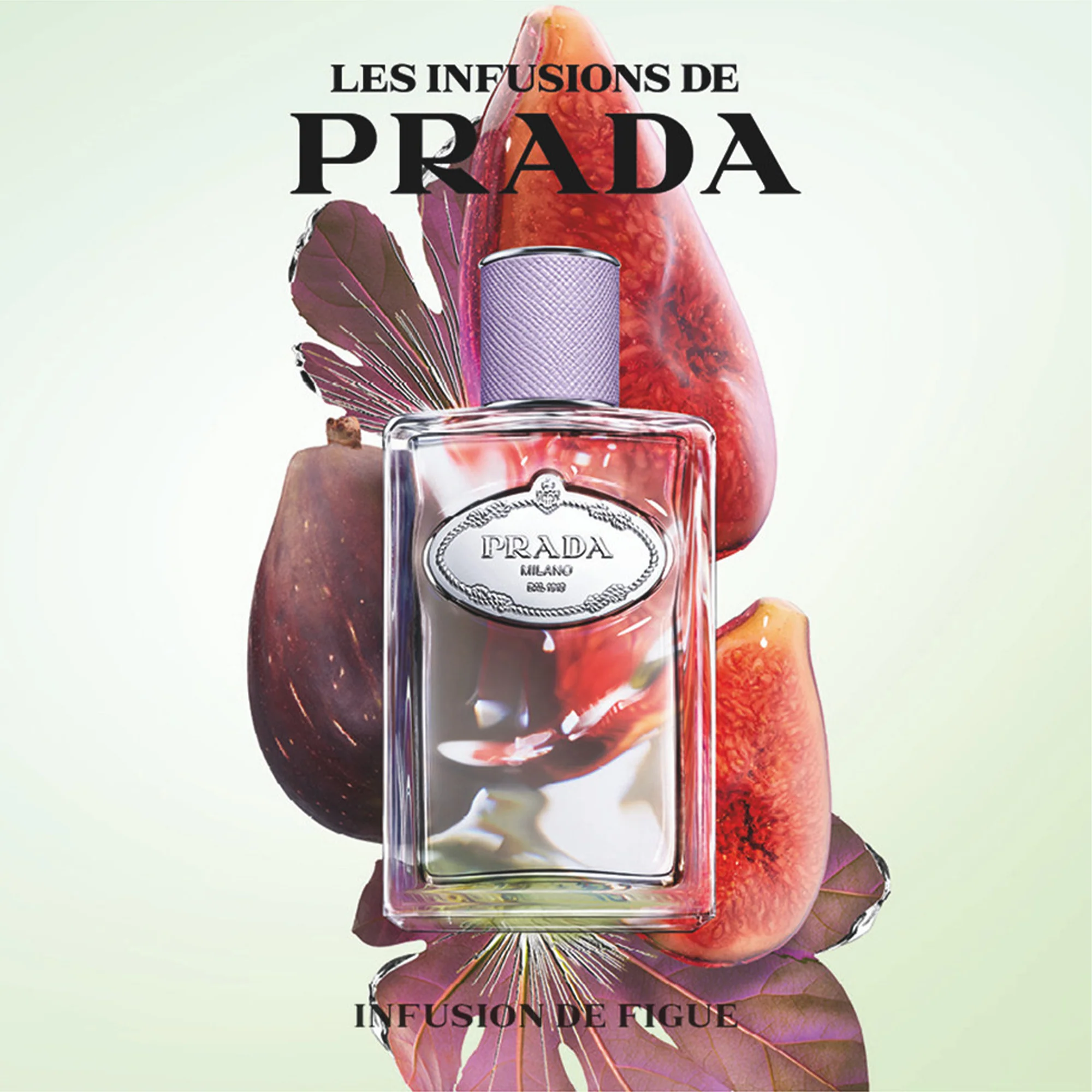 Prada Les Infusions de Figue Eau De Parfum 100ml Spray - Image 4