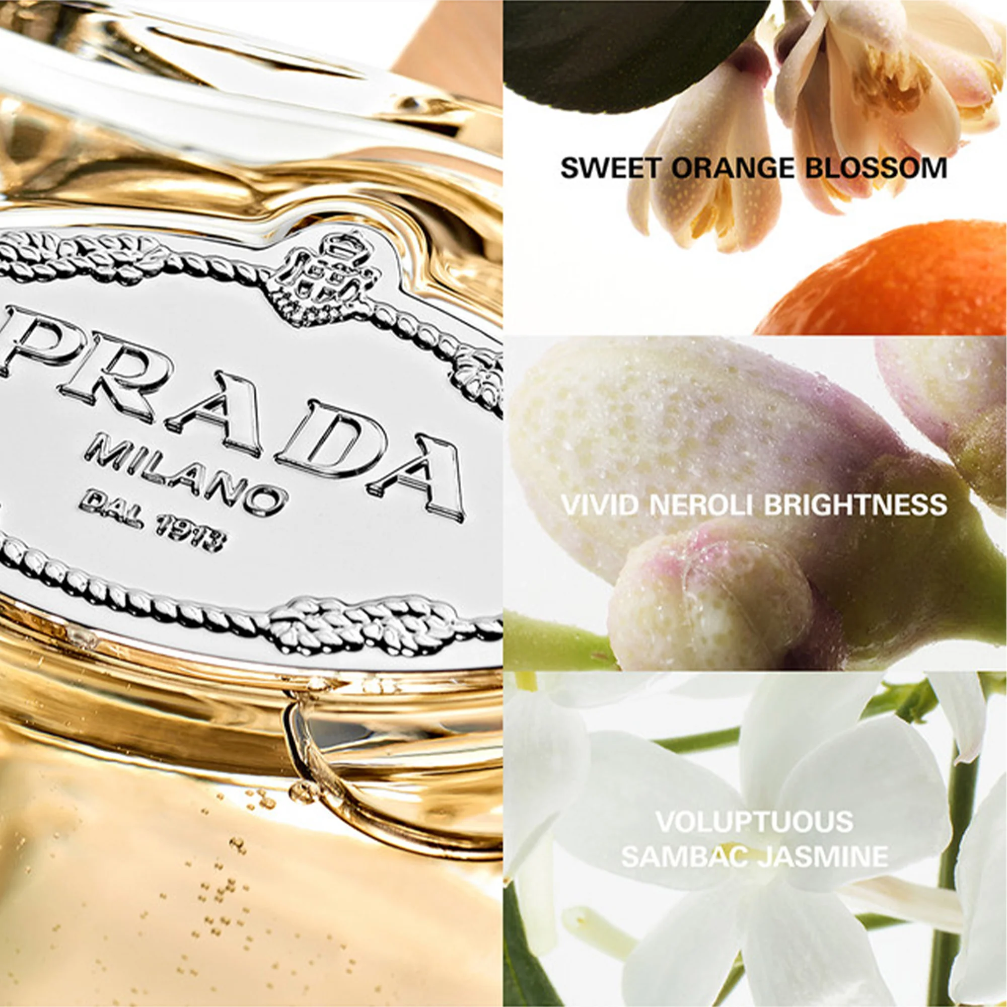 Prada Les Infusions de Fleur d'Oranger Eau De Parfum 100ml Spray - Image 3