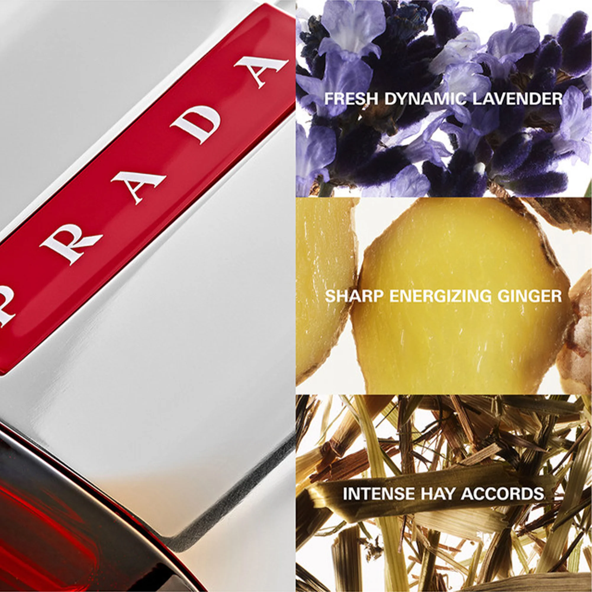 Prada Luna Rossa Sport Eau De Toilette 100ml Spray - Image 5