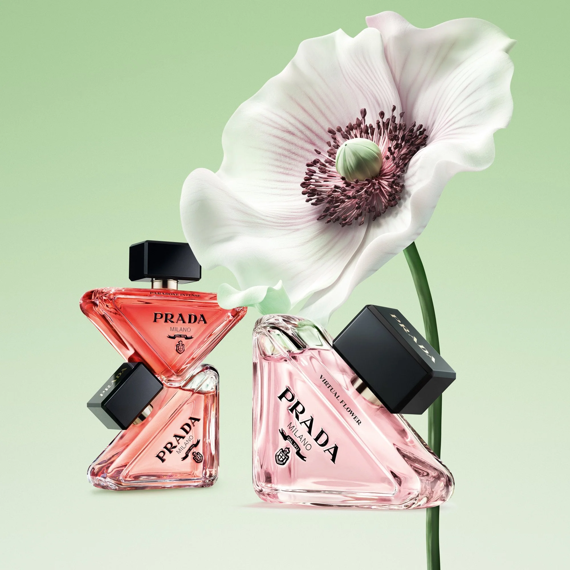 Prada Paradoxe Virtual Flower Eau De Parfum 30ml Spray - Image 8