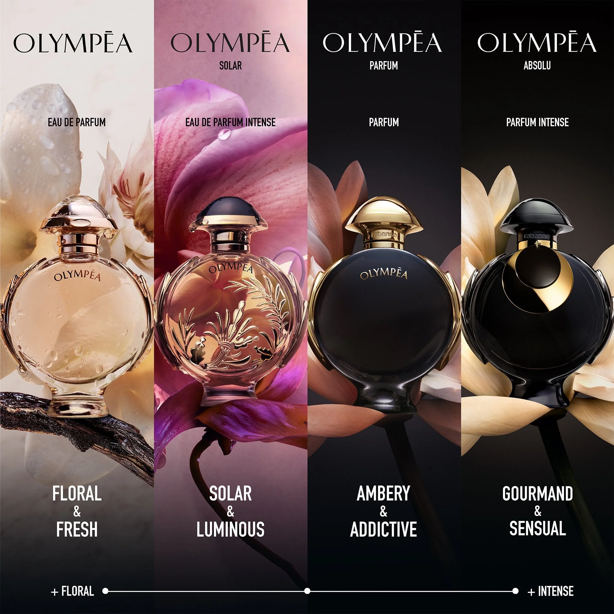 Rabanne Olympéa Absolu Parfum Intense 50ml Spray - Image 4