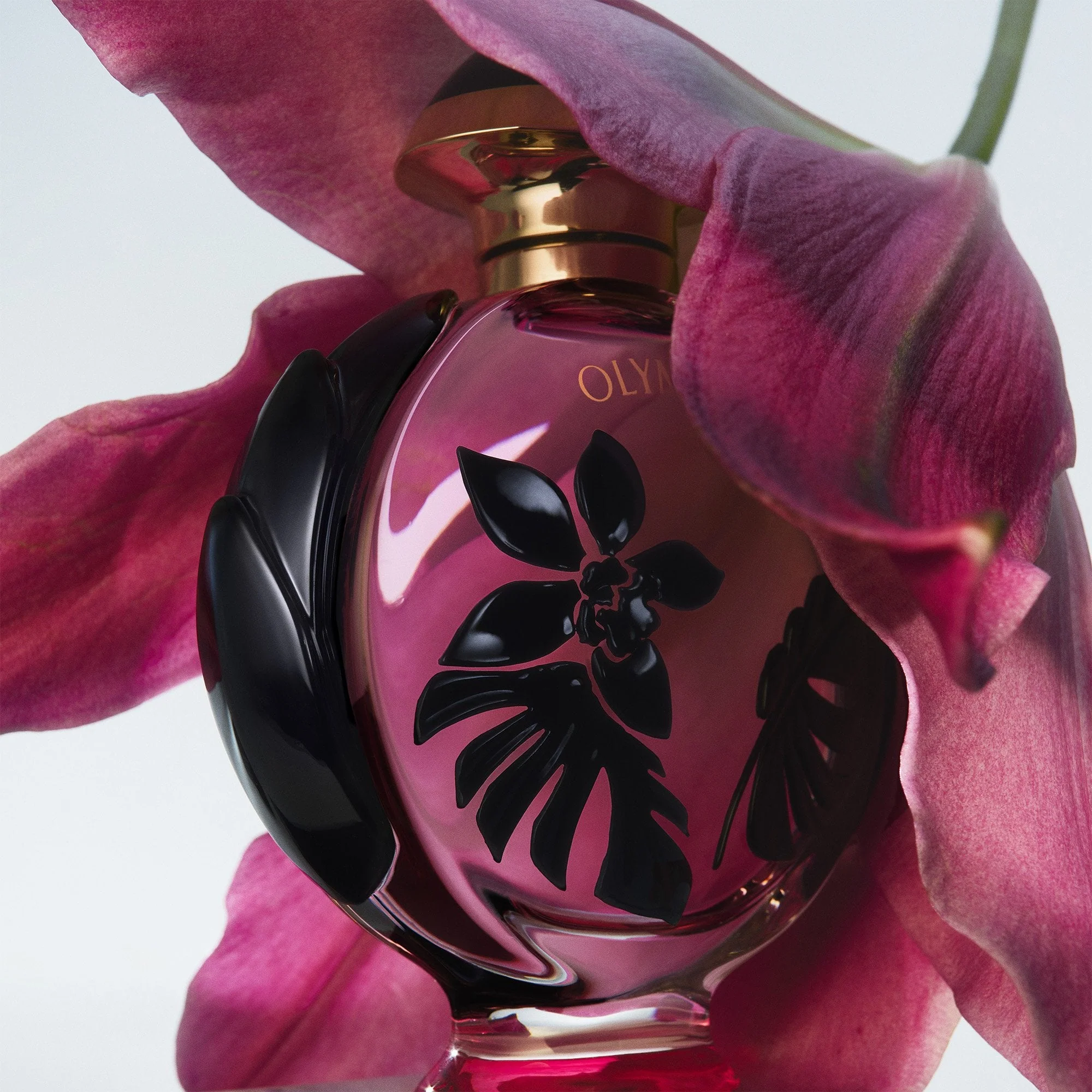 Rabanne Olympéa Flora Eau De Parfum 80ml Spray - Image 6