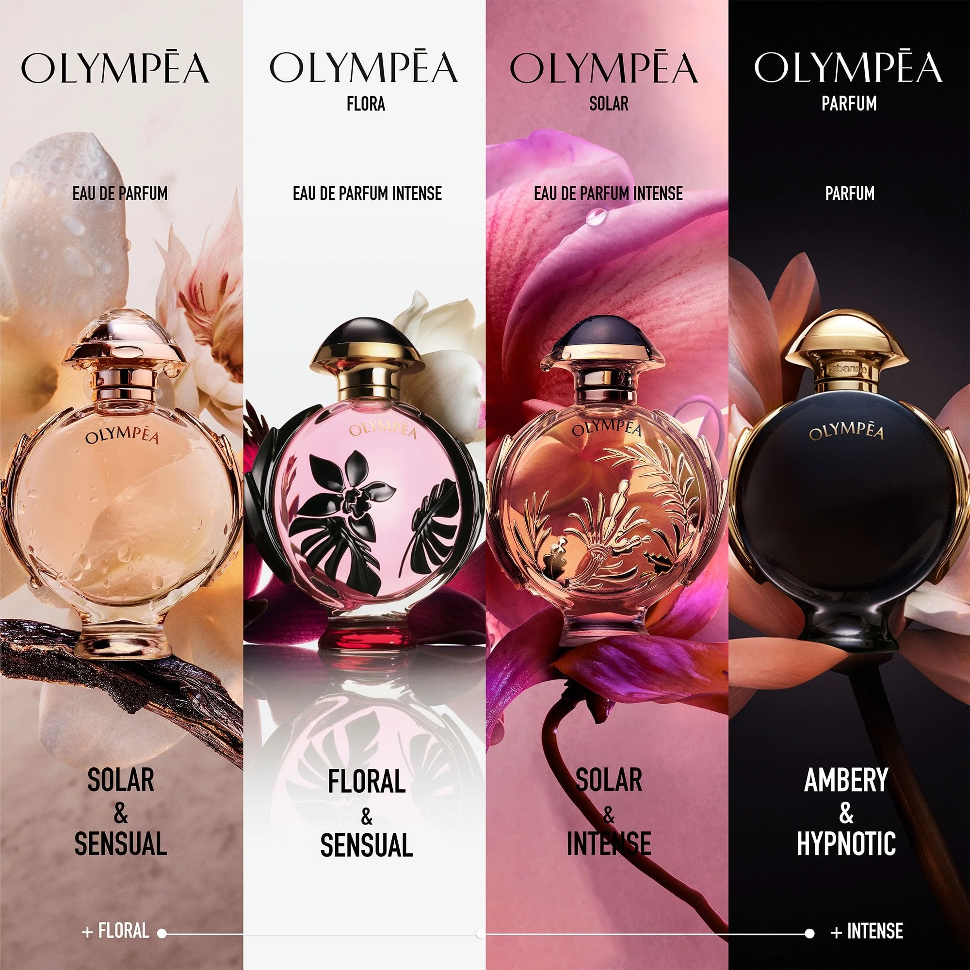 Rabanne Olympéa Parfum 50ml Spray - Image 4