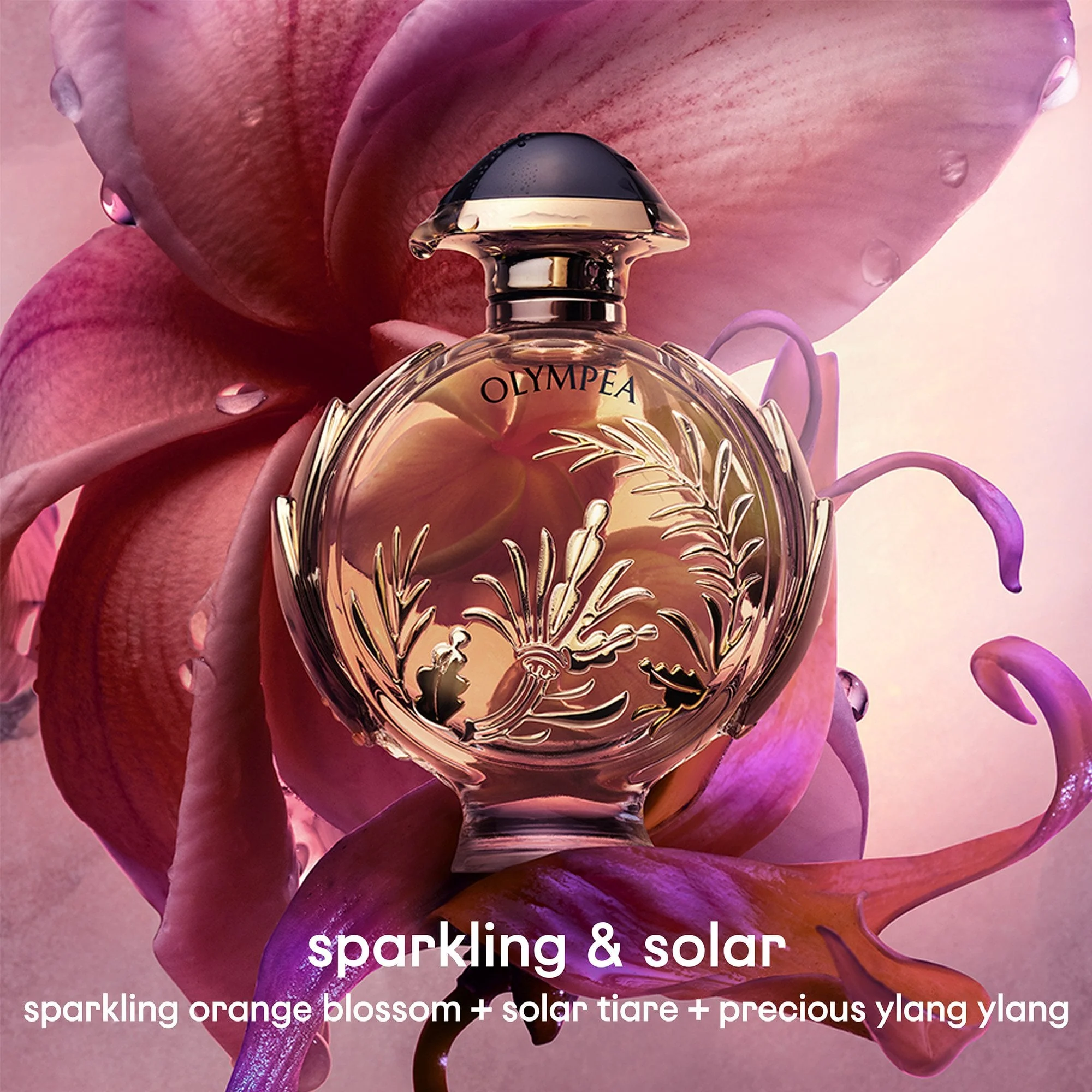 Rabanne Olympéa Solar Eau De Parfum Intense 50ml Spray - Image 3