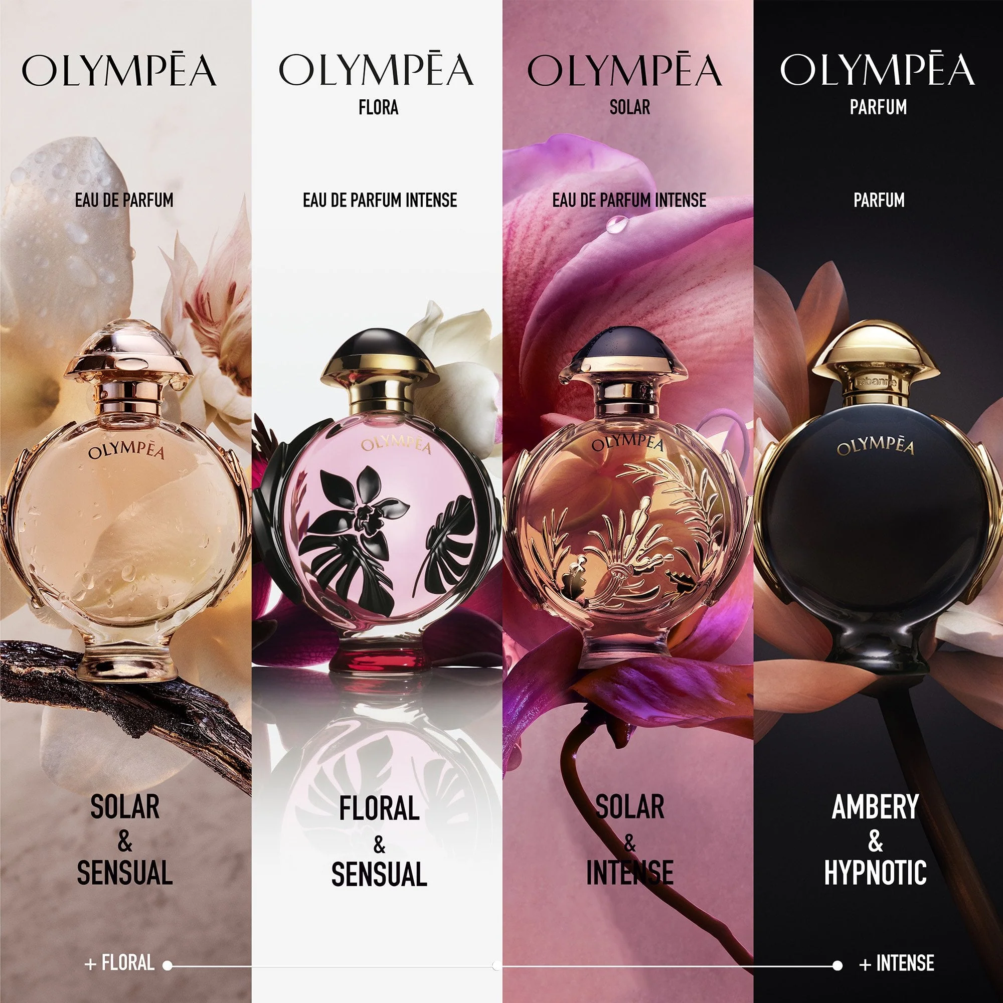Rabanne Olympéa Solar Eau De Parfum Intense 50ml Spray - Image 4