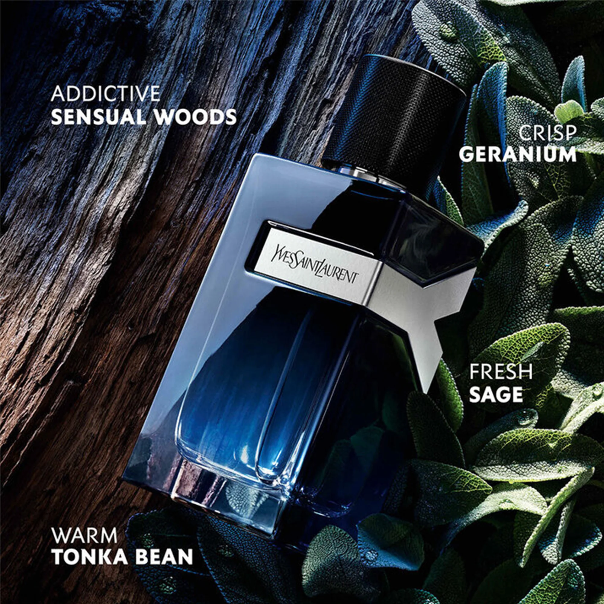 YSL Y for Men Eau De Parfum 60ml Spray - Image 3